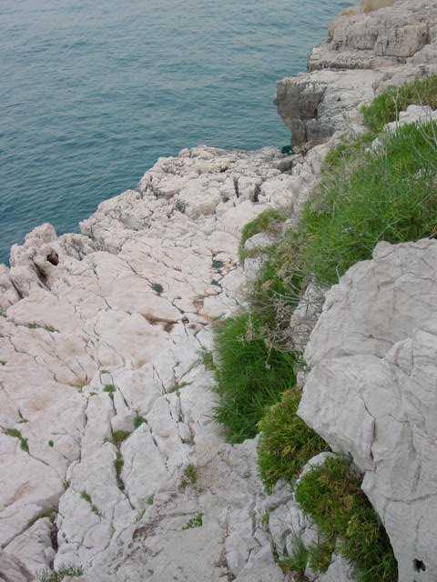 Dsc00081.jpg, 41 kB