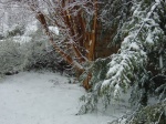 spring snow, home, Falmouth, Virginia, US