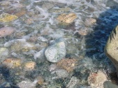 shoreline rocks, Northern Peninsula, New Foundland