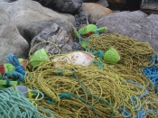 fishing paraphenalia, Northern Peninsula, newfoundland