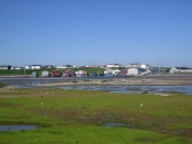 Northern Penninsula, NewFoundland, Canada