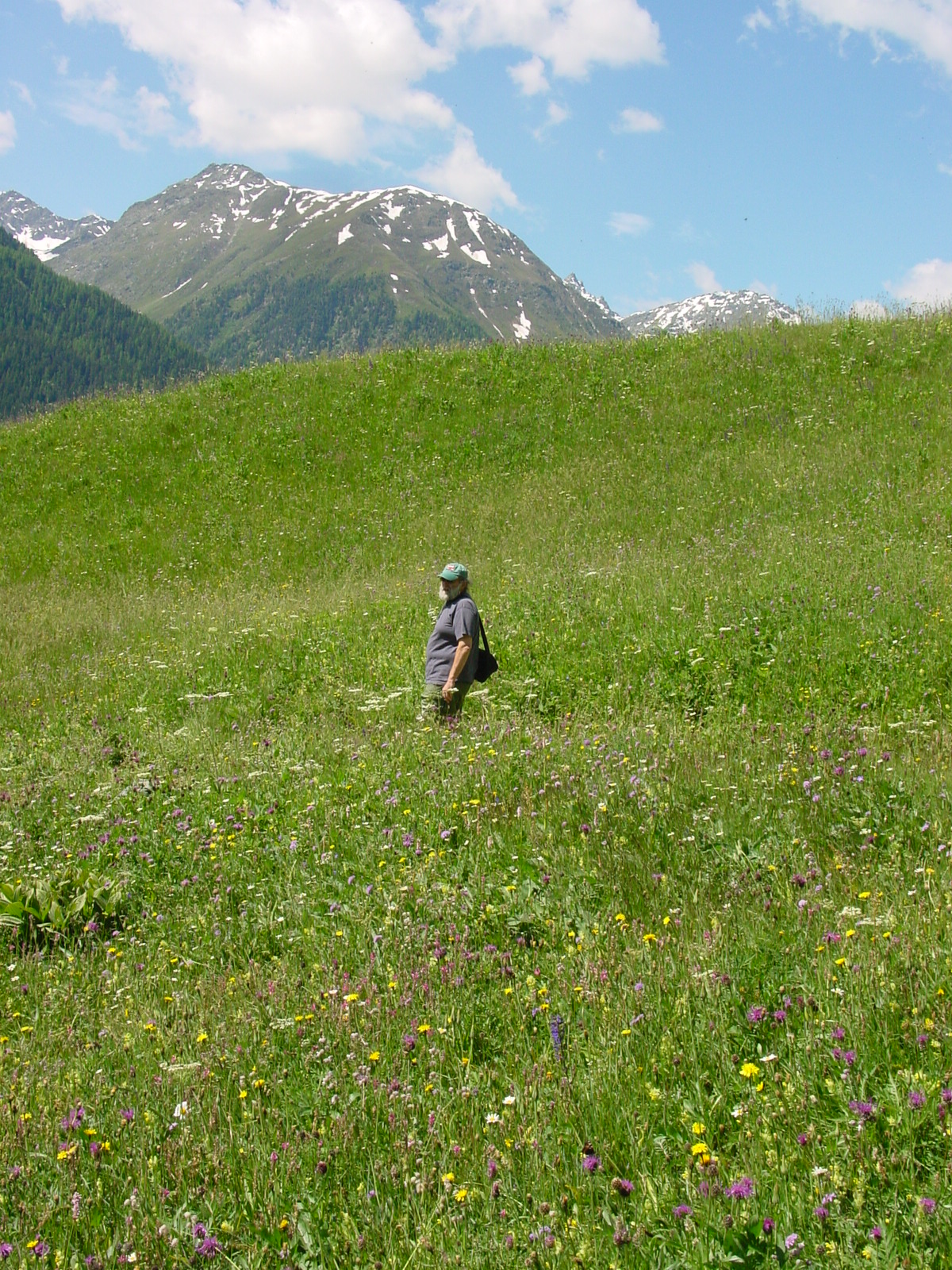 ernieHikingNearGuarda.JPG, 6/29/2004