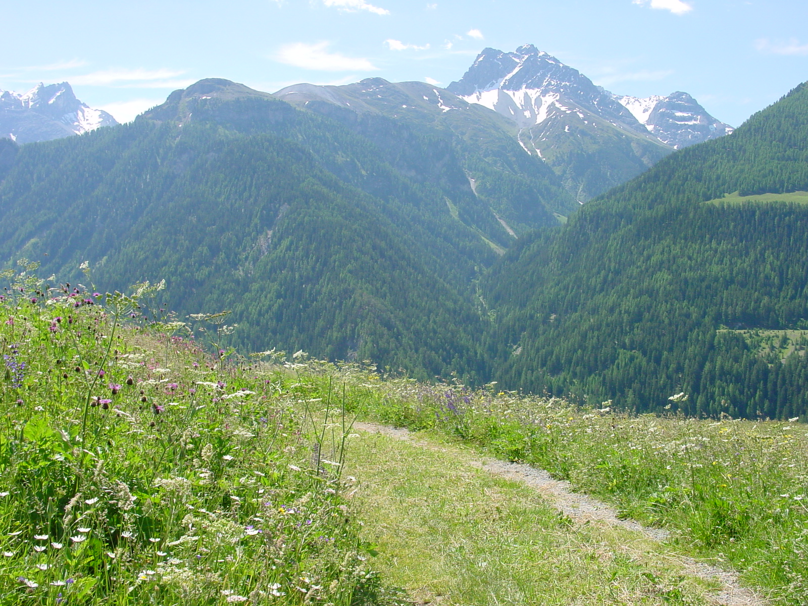 pathInTheAlpsNearGuarda03.JPG, 6/29/2004